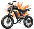 Rakowe Electric Bike for Adults, 1000W-2000W Peak, 20' Fat Tire Electric Dirt Bike, 48V Removable Battery, Up to 30-34MPH & 45-80 Miles, Full Suspension, Dual Disc Brakes, 7-Speed All-Terrain E-Bike