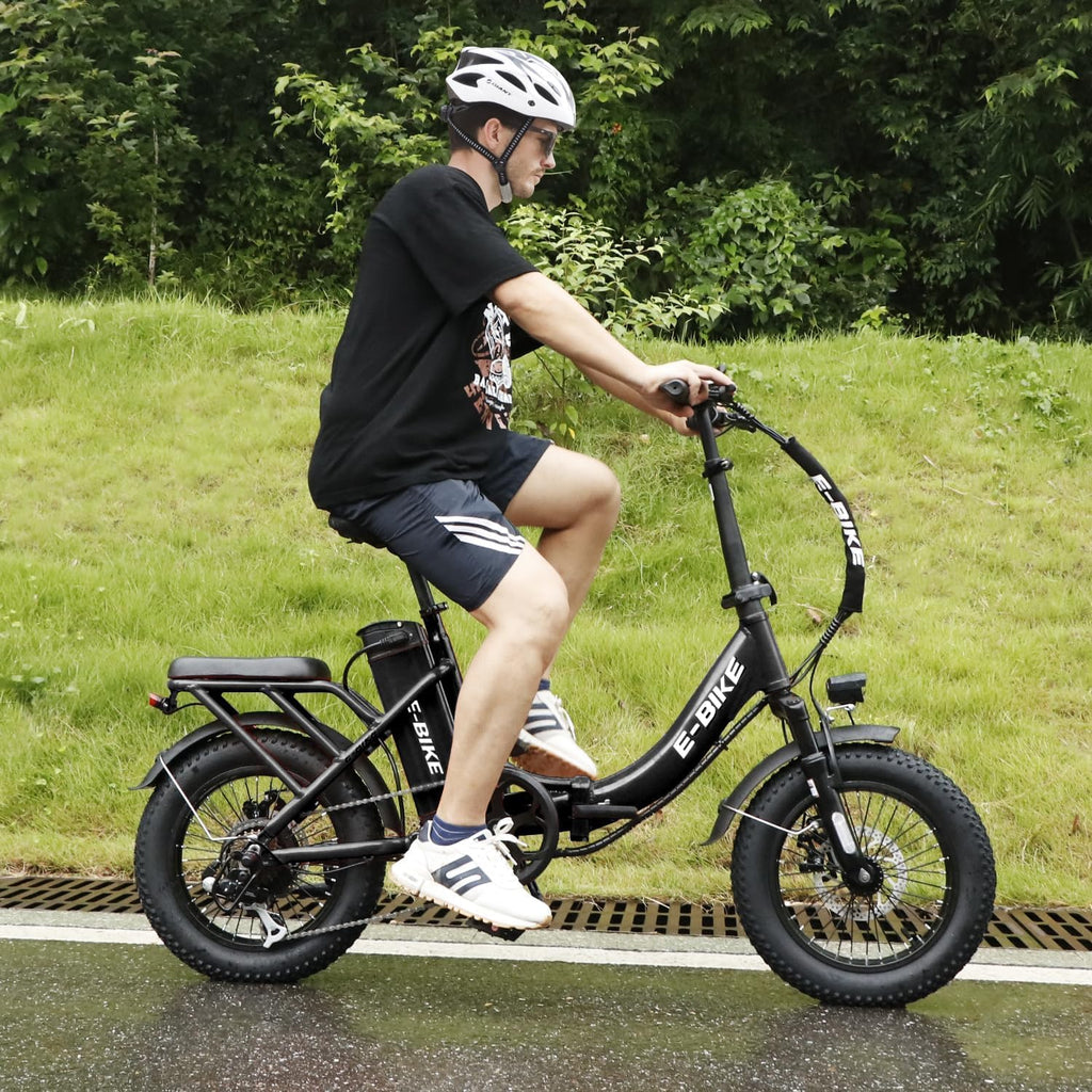 Electric Bike for Adults, 750W Long Range Foldable Ebike with One/Dual Removable Battery, 40-120 Mile/25-30MPH, 20'/16' Fat Tire Electric Bicycle