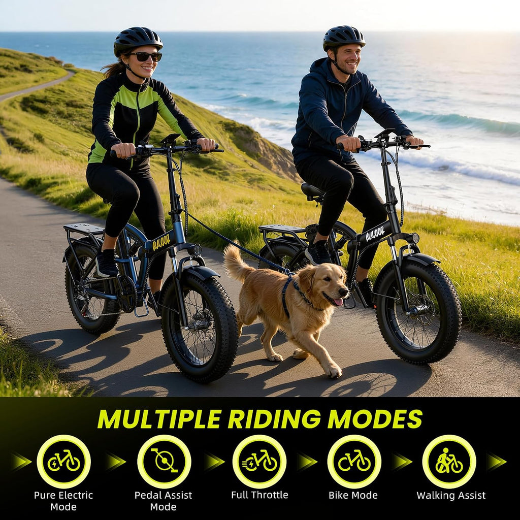 bluebiko 1000W Folding Electric Bike, 48V 20AH Large Removable Battery E Bike, 80 Miles Max Range, 20' Fat Tire Electric Bike for Adults, Adult Electric Bicycles for Commute Beach Snow