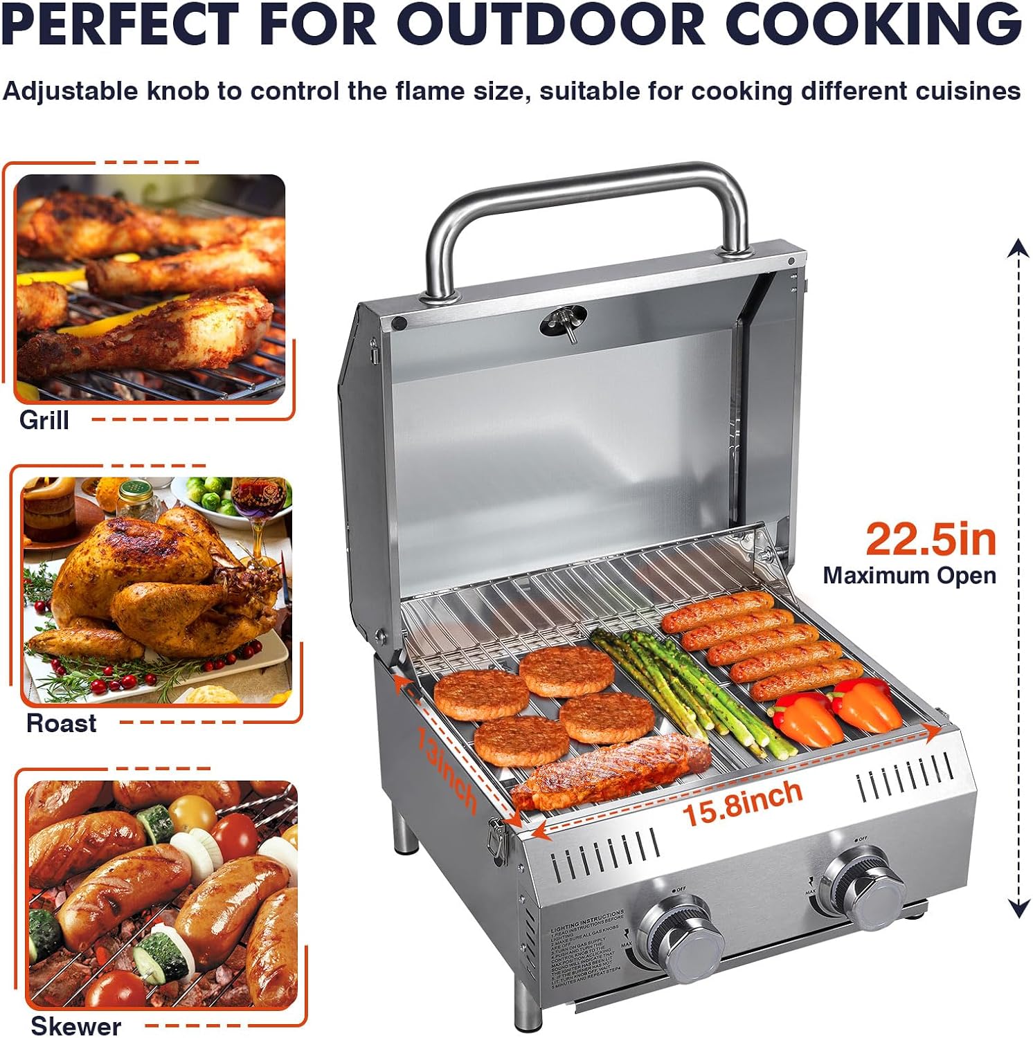 Llamaviva Tabletop Propane Gas Grill, 2 Burner 20,000 BTU Stainless Steel Portable BBQ Grill, Compact Outdoor Grill for Camping, RV, Patio, Tailgating, Picnic, Backyard Cooking