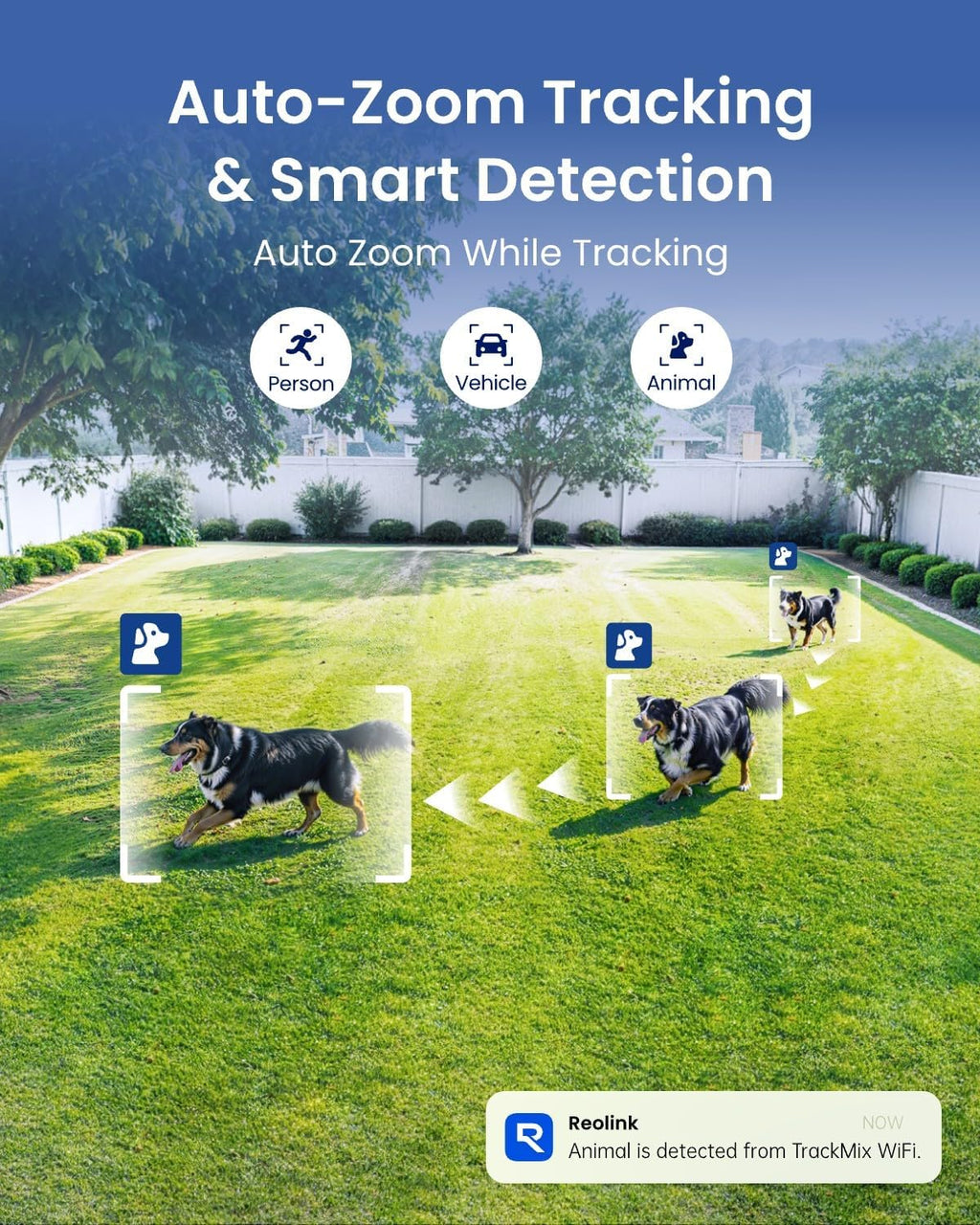 REOLINK 4K Wired WiFi Outdoor Security Camera, 8MP Dual Lens, 360 PTZ Camera, Auto Tracking, 2.4/5GHz Wi-Fi Smart Person/Vehicle/Animal Detection, 6X Hybrid Zoom, Color Night Vision, TrackMix WiFi