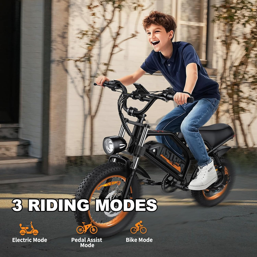 AVDLBIKE Electric Bike, 16'' Fat Tire E-Bike for Teens/Adults, 500W Small E-Bike with 36V/12.8Ah Removable Battery, Up to 22MPH, 45 Mile Range, Electric Dirt/Mountain Bike for Woman/Men A13
