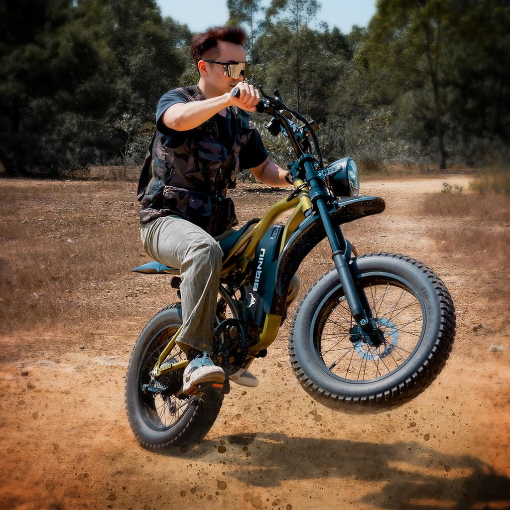 BIGNIU Electric Bike, Ebikes for Adults with Peak 1200W Motor, 20' Fat Tire, 48V 15A Battery, 7-Speed, Dual Disc Brakes E Bike for Off-Road and City Riding Electric Dirt Bike for Adults