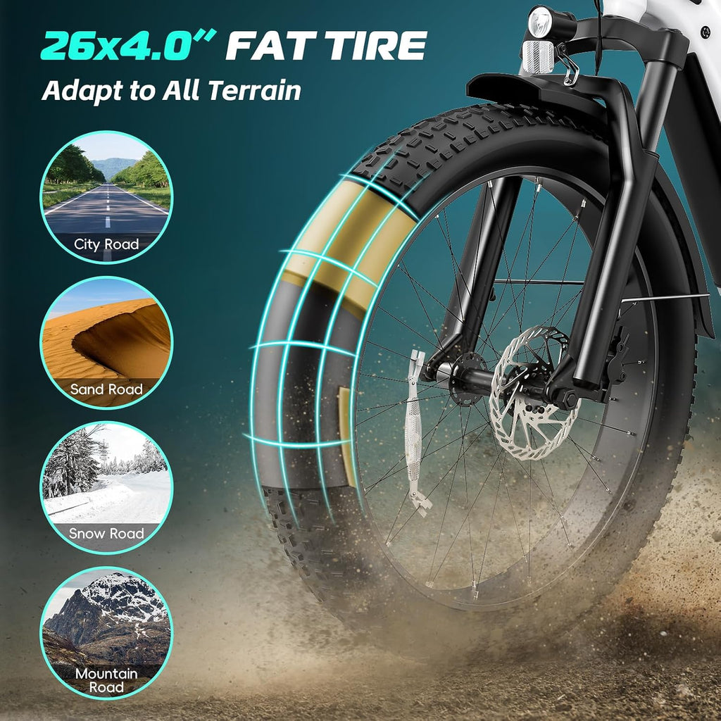 Vivi ACE01 Electric Bike for Adults,26' x 4.0 Fat Tire Ebike,750W Peak Motor Torque Sensor Electric Mountain Bike,20MPH Electric Bicycle with 48V 15AH Battery,Hydraulic Brake,SGS Certified to UL2849