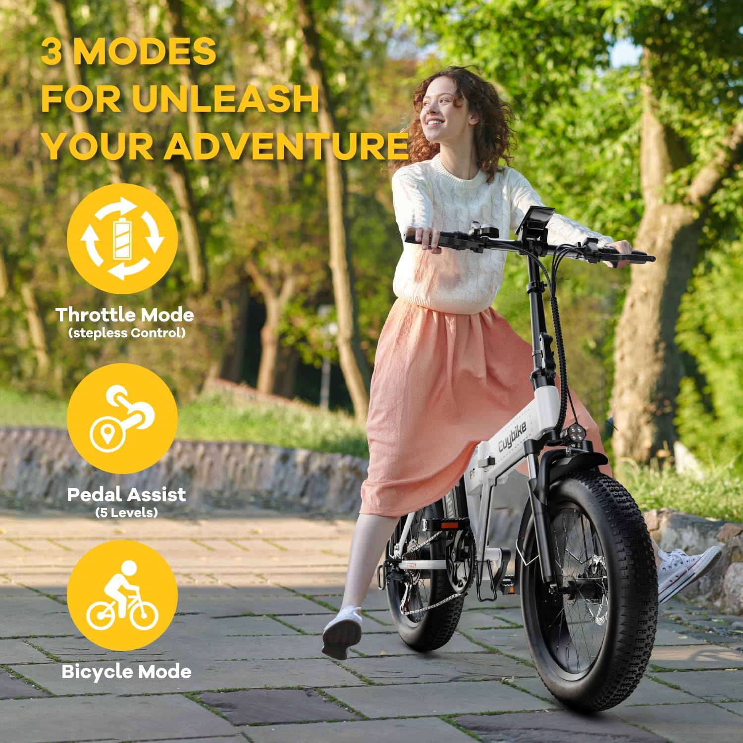 bluebiko 1000W Folding Electric Bike, 48V 20AH Large Removable Battery E Bike, 80 Miles Max Range, 20' Fat Tire Electric Bike for Adults, Adult Electric Bicycles for Commute Beach Snow