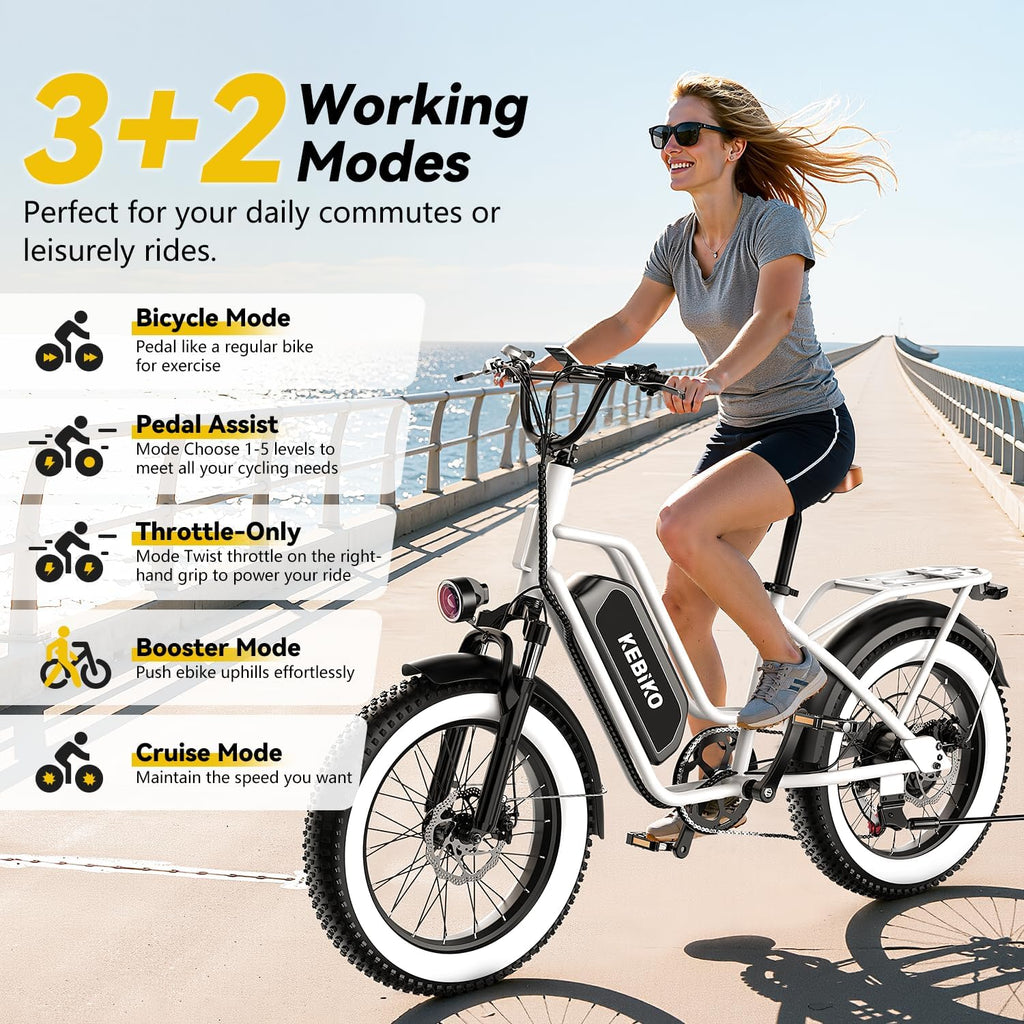 1500W Electric Bike for Adults,48V 20/25/60Ah Removable Battery Max Range 80Miles Electric Bicycle,20''×4' Fat Tire Ebike,Adult Electric Bicycles for Commute Beach Snow,E-Bike UL Certified