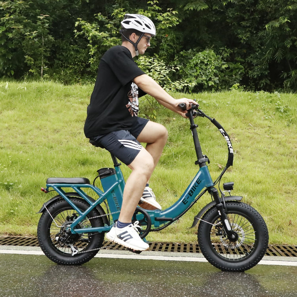 Electric Bike for Adults, 750W Long Range Foldable Ebike with One/Dual Removable Battery, 40-120 Mile/25-30MPH, 20'/16' Fat Tire Electric Bicycle