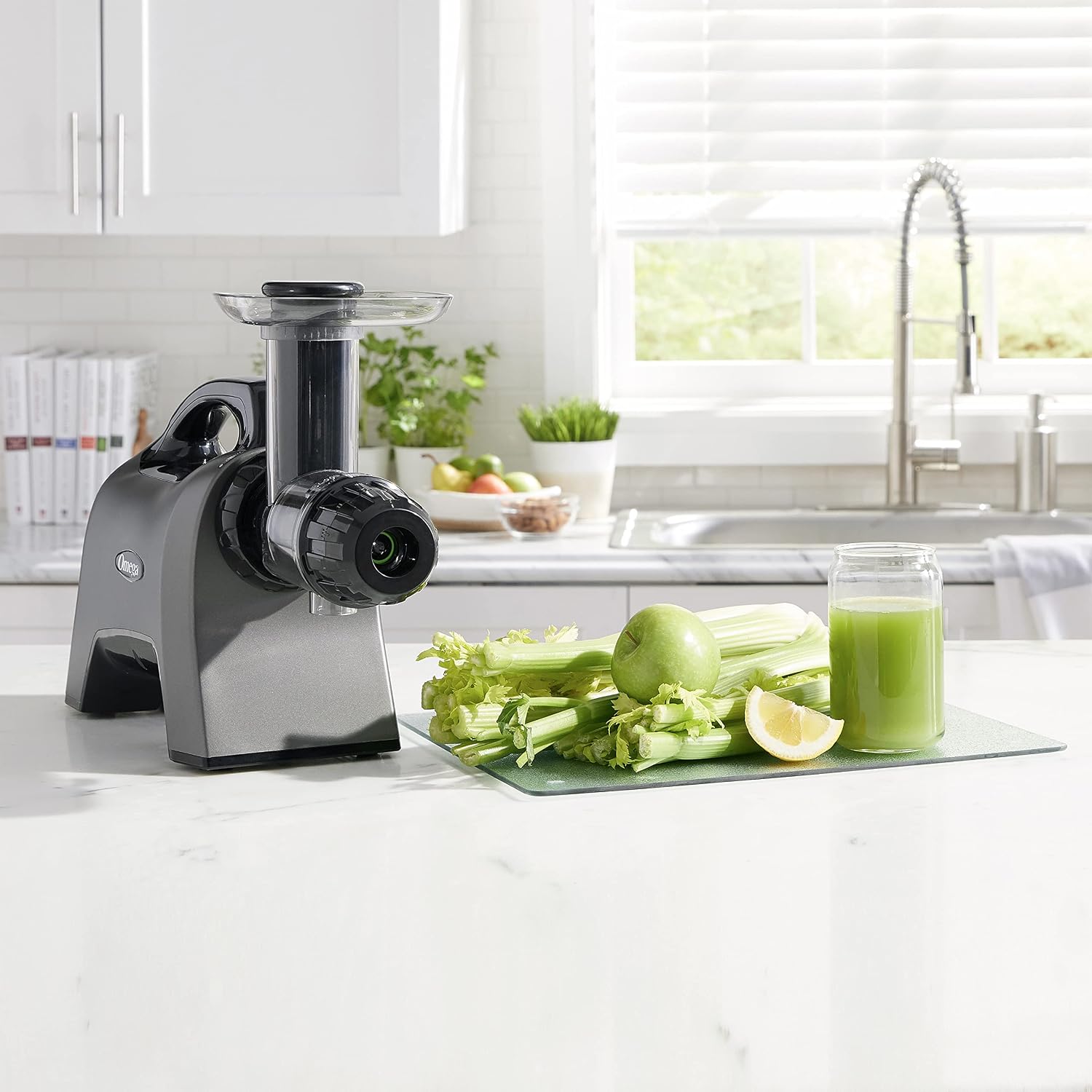 Omega Celery Juicer and Nutrition System Masticating Juicer, Cold Press Juicer Machine For Celery with Adjustable Dial, 200-Watt, Silver