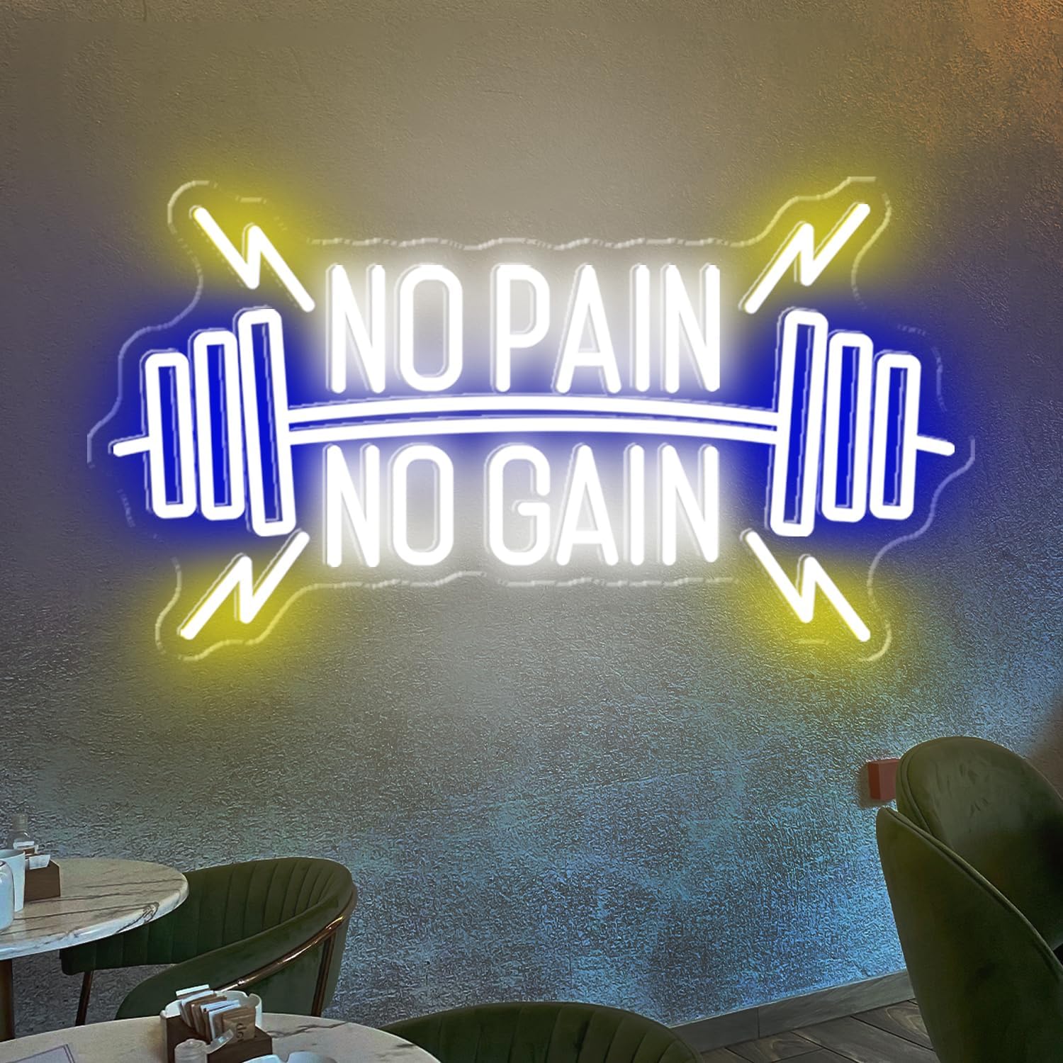 No Pain No Gain Neon Signs, Dimmable Neon Lights for Wall Decor, No Pain No Gain Light Up Signs for Gym, Classroom, Reading Club, Office, Neon Lights Signs for Fitness Wall Art, 22.5x12.2'