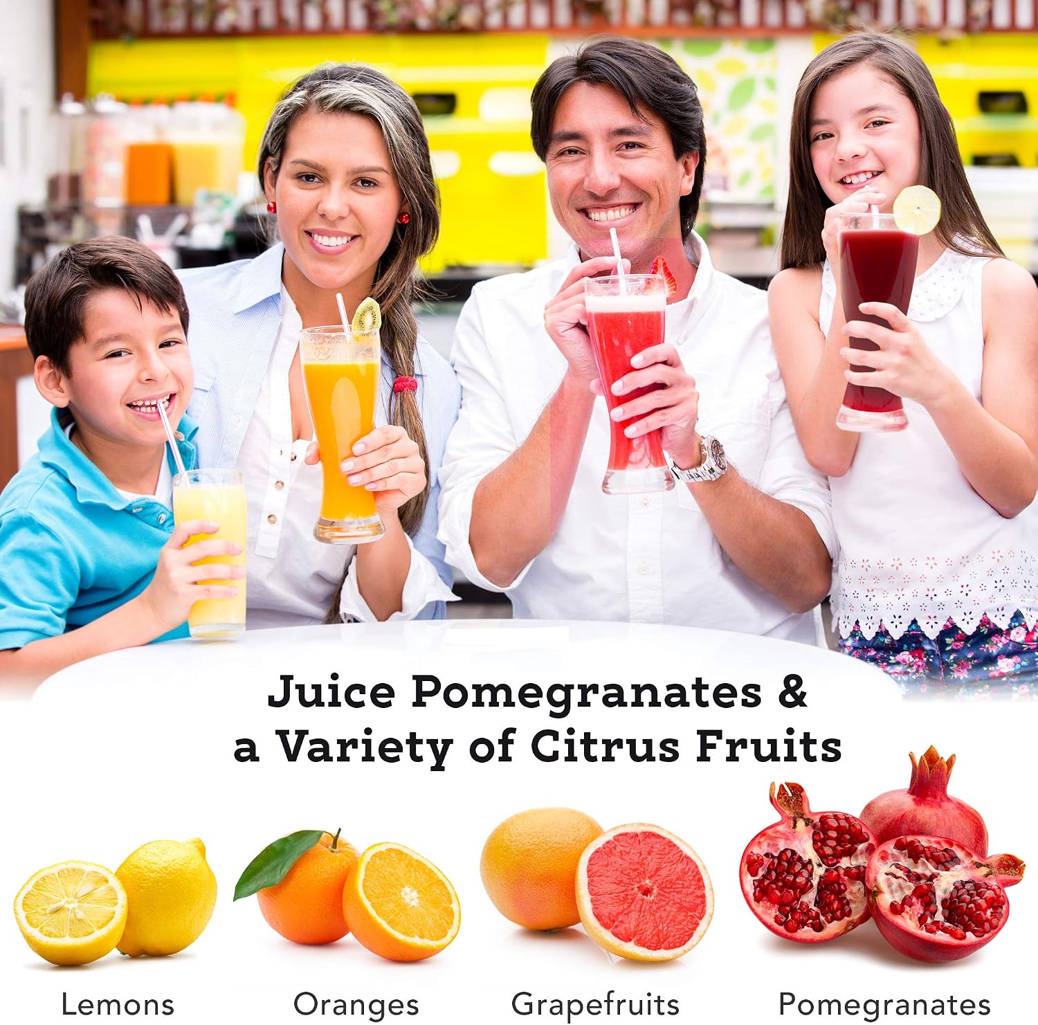 Tribest Pro MJP-105 XL Professional Manual Cold Press Juicer Machine for Pomegranates and Citrus, Black