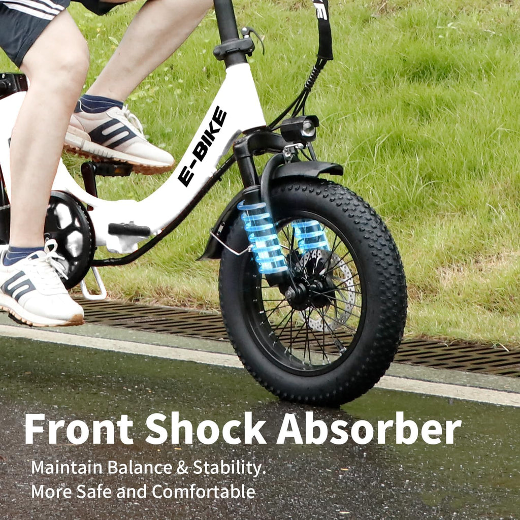 Electric Bike for Adults, 750W Long Range Foldable Ebike with One/Dual Removable Battery, 40-120 Mile/25-30MPH, 20'/16' Fat Tire Electric Bicycle
