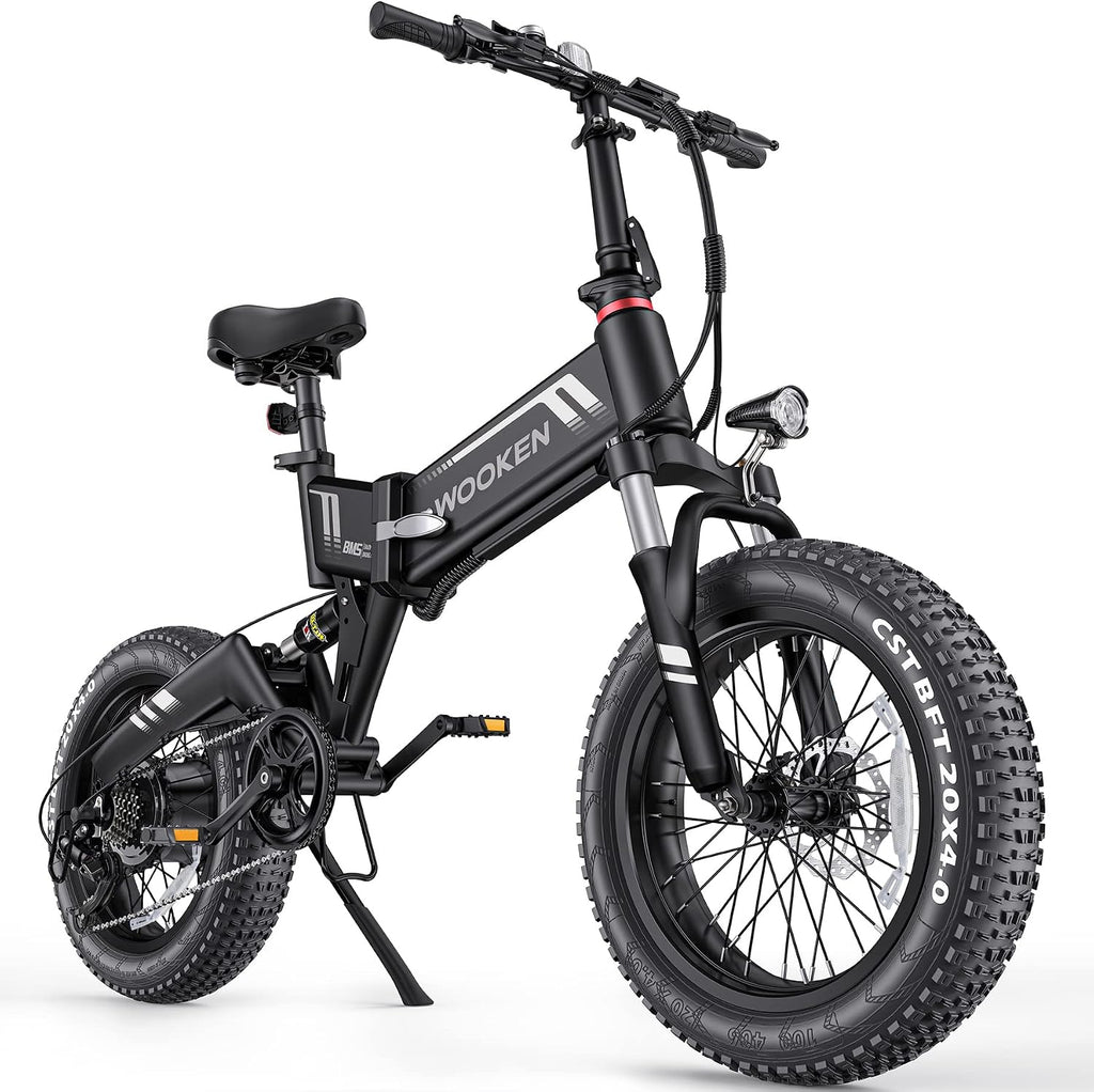 TotGuard Electric Bike,20' Electric Bike for Adults 500W Brushless Motor, 19.8MPH Fat Tire Ebike,Foldable Adult Electric Bicycles with 48V 10Ah Removable Battery,7-Speed,SGS Certified to UL 2849