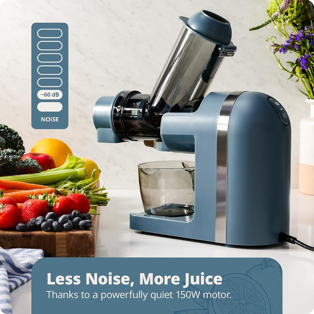 Greater Goods Cold Press Juicer, Powerful Slow Masticating Juice Extractor with Quiet Motor for Fruits and Vegetables, High Juice Yield, Easy to Clean, Stone Blue