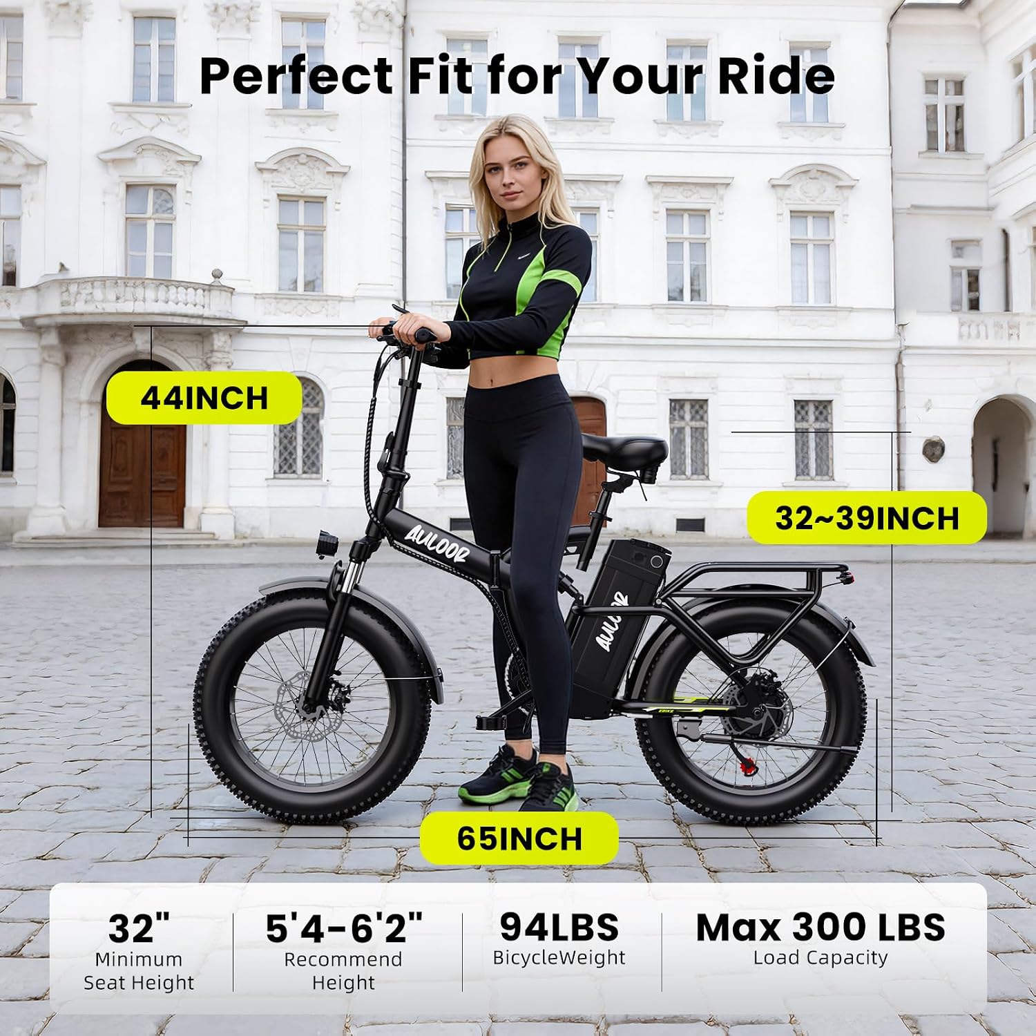 bluebiko 1000W Folding Electric Bike, 48V 20AH Large Removable Battery E Bike, 80 Miles Max Range, 20' Fat Tire Electric Bike for Adults, Adult Electric Bicycles for Commute Beach Snow