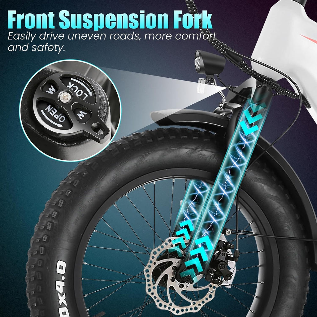 Wooken Electric Bike for Adults, 500W Motor Ebike,20'x4.0' Fat Tire Electric Bike,48V 624WH Removable Lithium-ion Battery,Up to 60 Miles,Step-Thru Electric Mountain Bike,SGS Certified to UL 2849
