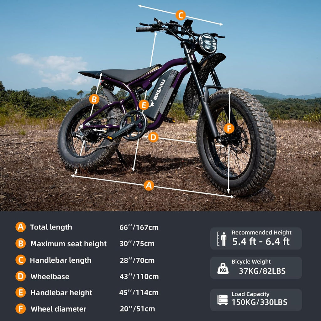 BIGNIU Electric Bike, Ebikes for Adults with Peak 1200W Motor, 20' Fat Tire, 48V 15A Battery, 7-Speed, Dual Disc Brakes E Bike for Off-Road and City Riding Electric Dirt Bike for Adults