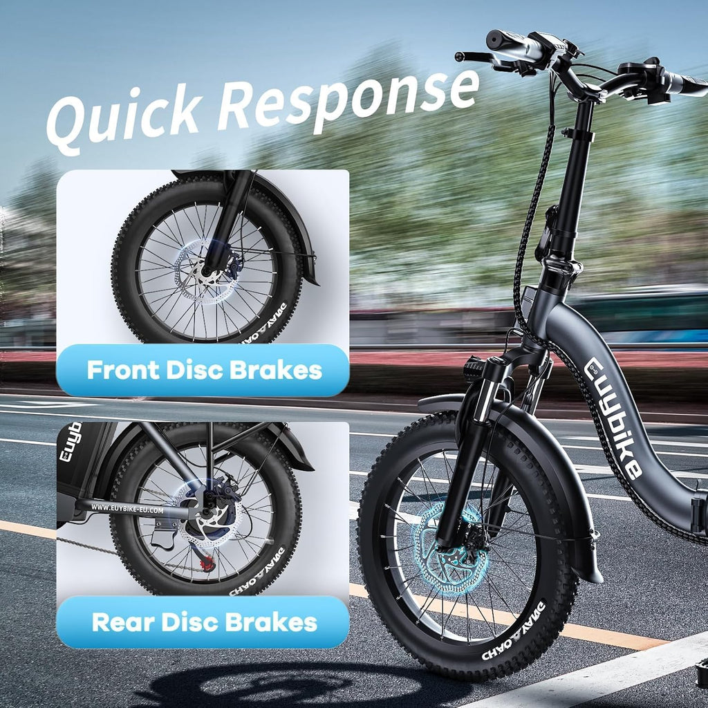 bluebiko 1000W Folding Electric Bike, 48V 20AH Removable Battery E Bike, 70 Miles Max Range, 20' Fat Tire Adults Electric Bike,7-Speed Ebike for City Commuting,Off-Roading,Mountain