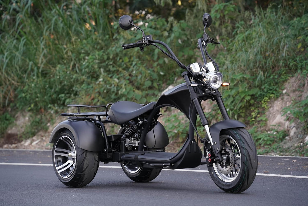 eAhora M1P Electric Trike for Adults, 2000W Brushless Motor 26MPH Electric Tricycle,60V 30AH Fast Charge Battery,F&R Disk Brake, Hydraulics Suspension,3 Wheel Electric Bikes