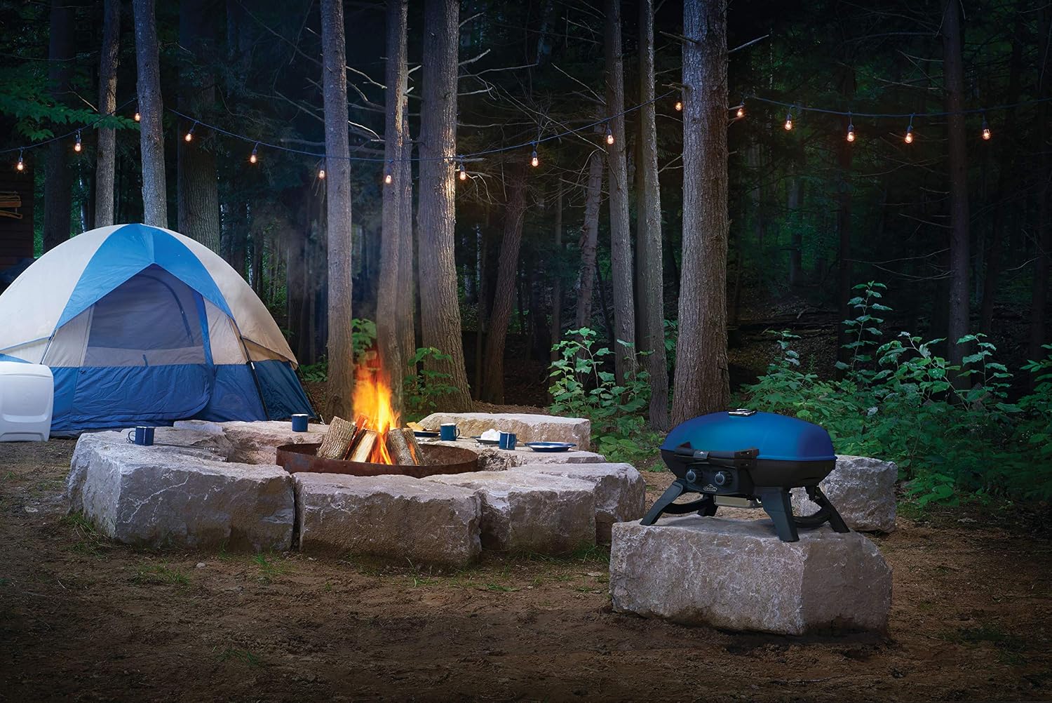 Napoleon TravelQ 285 Portable Propane Gas Grill, Blue, 2 Burners, Tailgating, Camping, and Small Outdoor Spaces