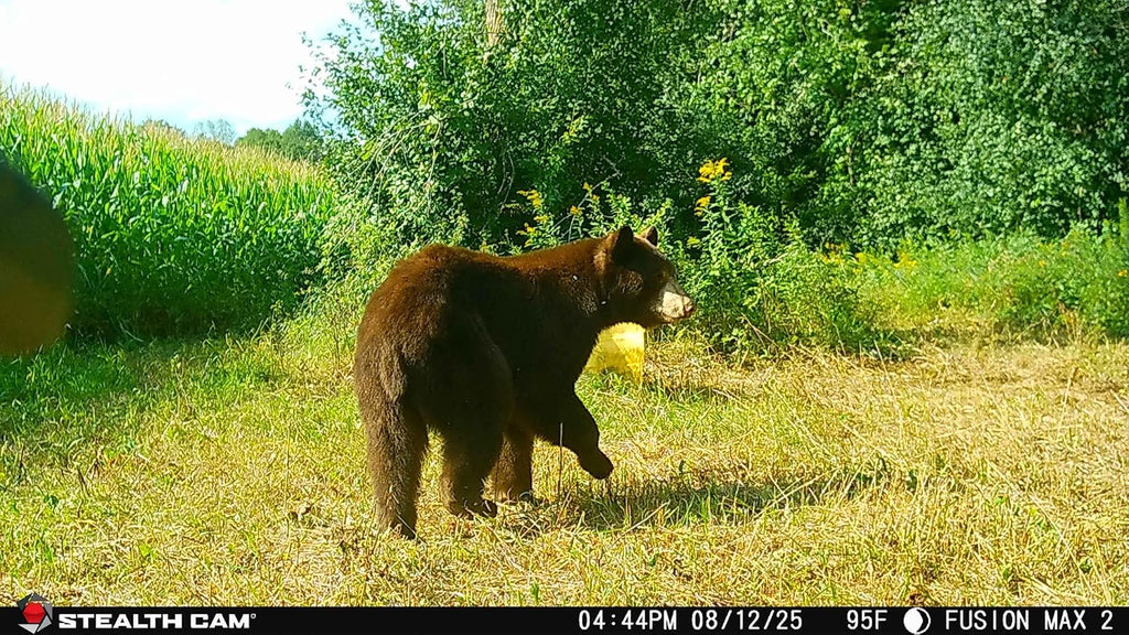 Stealth Cam Fusion Max 2.0 Cellular Trail Camera, 36MP, Outdoor, Instant Alerts, 2-Pack