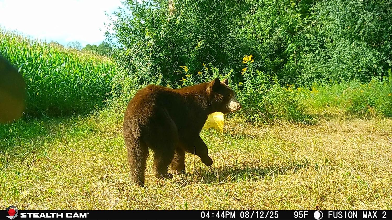 Stealth Cam Fusion Max 2.0 Cellular Trail Camera, 36MP, Outdoor, Instant Alerts, 2-Pack