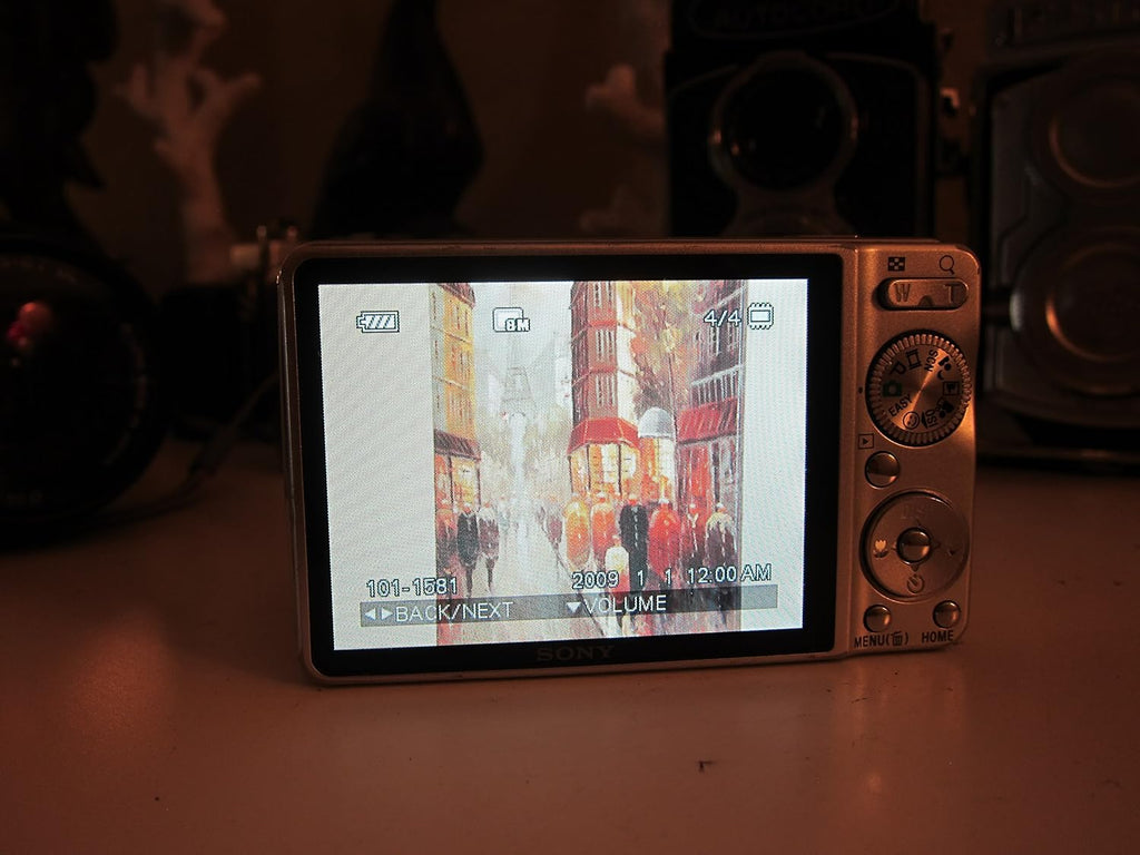 Sony Cyber-shot DSC-W230 12 MP Digital Camera with 4x Optical Zoom and Super Steady Shot Image Stabilization (Silver)