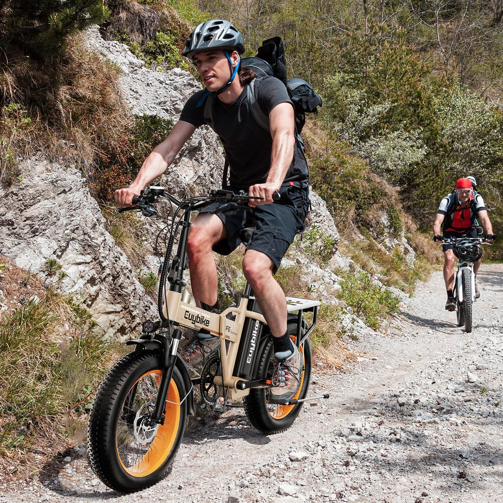 bluebiko 1000W Folding Electric Bike, 48V 20AH Removable Battery E Bike, 70 Miles Max Range, 20' Fat Tire Adults Electric Bike,7-Speed Ebike for City Commuting,Off-Roading,Mountain