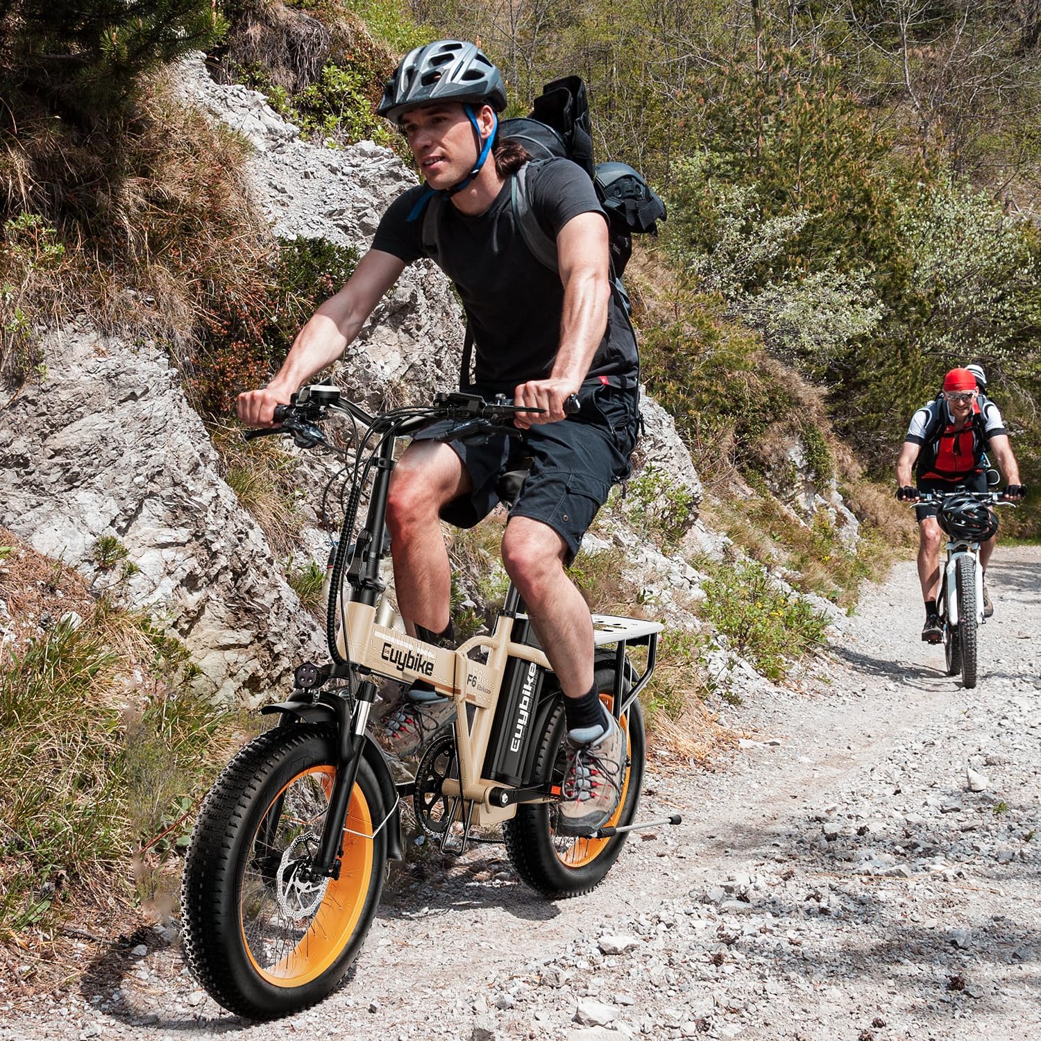 bluebiko 1000W Folding Electric Bike, 48V 20AH Removable Battery E Bike, 70 Miles Max Range, 20' Fat Tire Adults Electric Bike,7-Speed Ebike for City Commuting,Off-Roading,Mountain