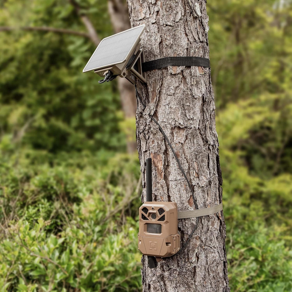 Moultrie Edge 2 Pro Cellular Trail Camera - Auto Connect Nationwide 4G LTE - On Demand 40MP Photo - 1440P Video with HD Audio - Ai False Trigger Elimination - 100 Ft Detection Range - No-Glow Flash