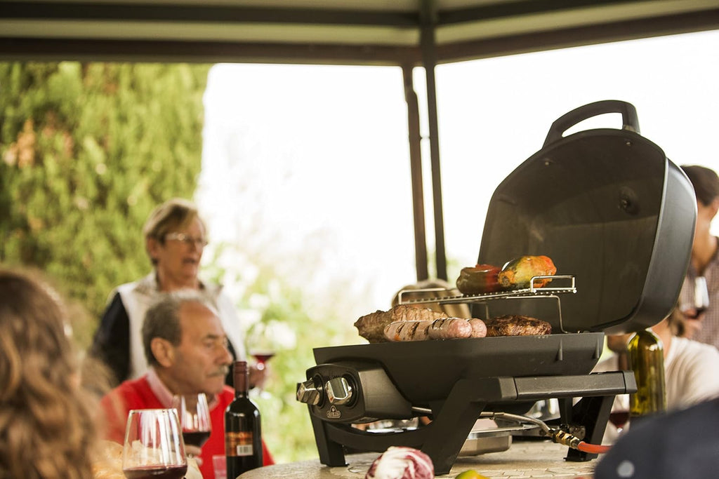 Napoleon PRO285-BK Portable Propane Grill, Black