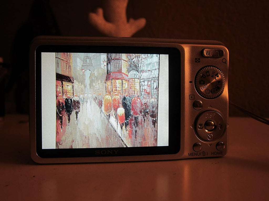 Sony Cybershot DSC-W220 12.1MP Digital Camera with 4x Optical Zoom with Super Steady Shot Image Stabilization (Silver)