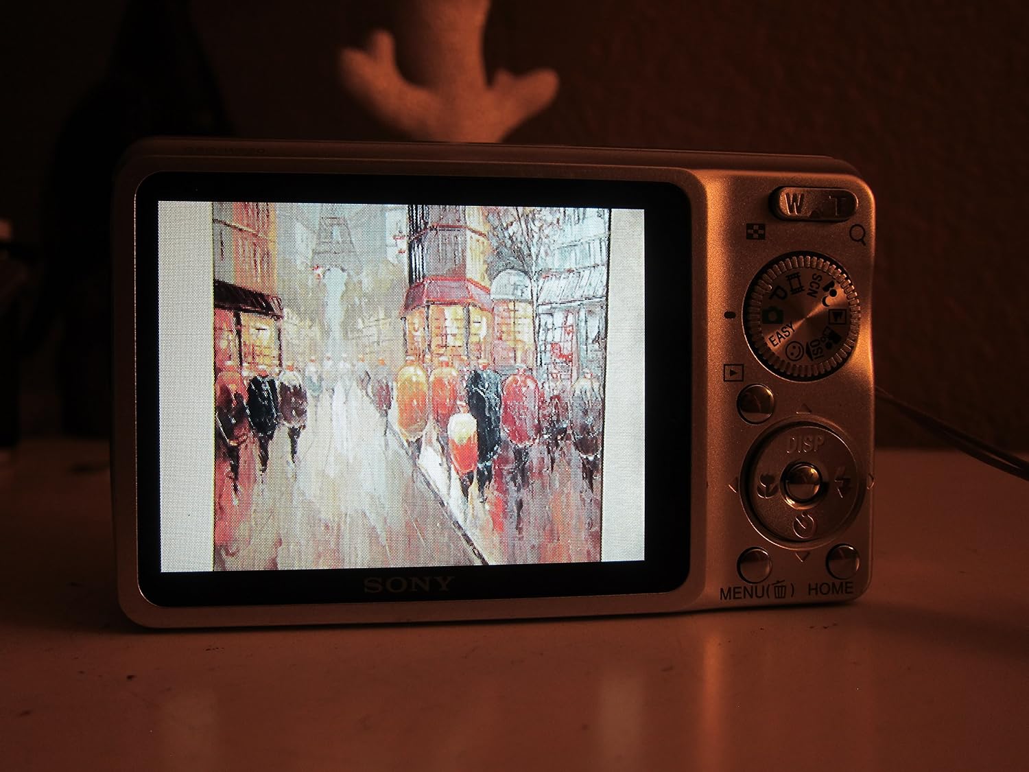 Sony Cybershot DSC-W220 12.1MP Digital Camera with 4x Optical Zoom with Super Steady Shot Image Stabilization (Silver)