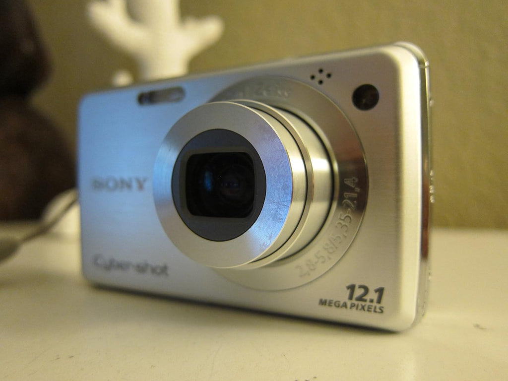 Sony Cybershot DSC-W220 12.1MP Digital Camera with 4x Optical Zoom with Super Steady Shot Image Stabilization (Silver)