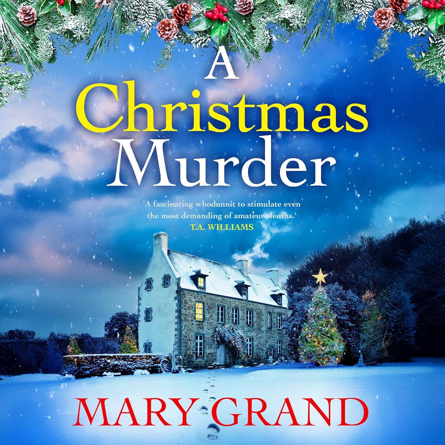 A Christmas Murder: Discover the THE NUMBER ONE BESTSELLER from Mary Grand (The Isle of Wight Killings)