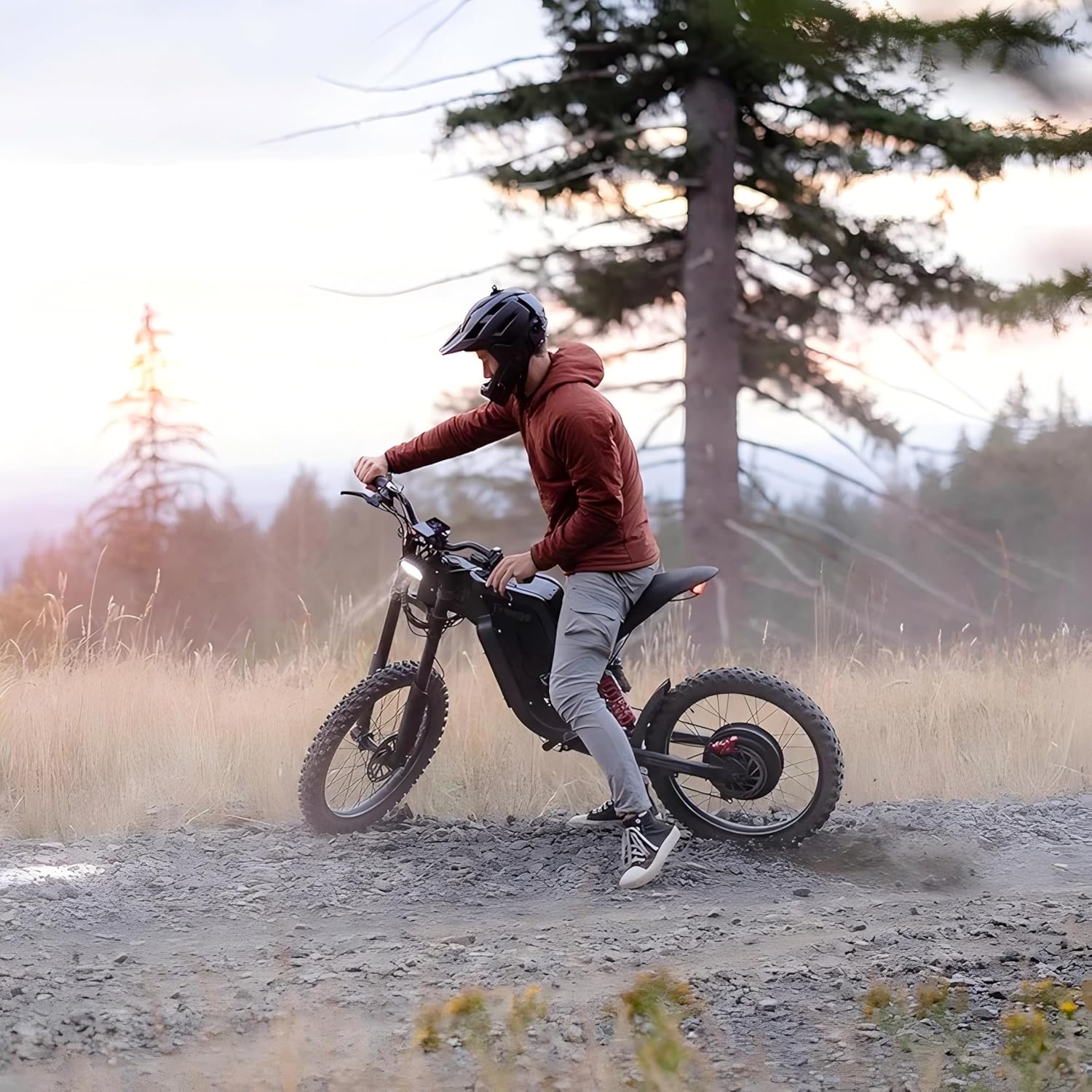 Freego X2 Electric Motorcycle for Adults, Electric Dirt Bike 6000W Motor 60V 30Ah Removable Battery, Max 50Mph, 19' x2' Tire Full Suspension/Hydraulic Brake,UL2849 and UL2271 Certifications