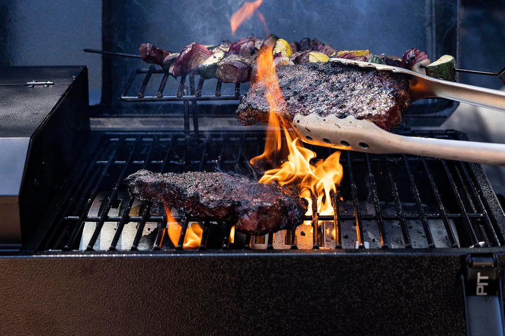 Pit Boss Portable Battery Powered Wood Pellet Grill