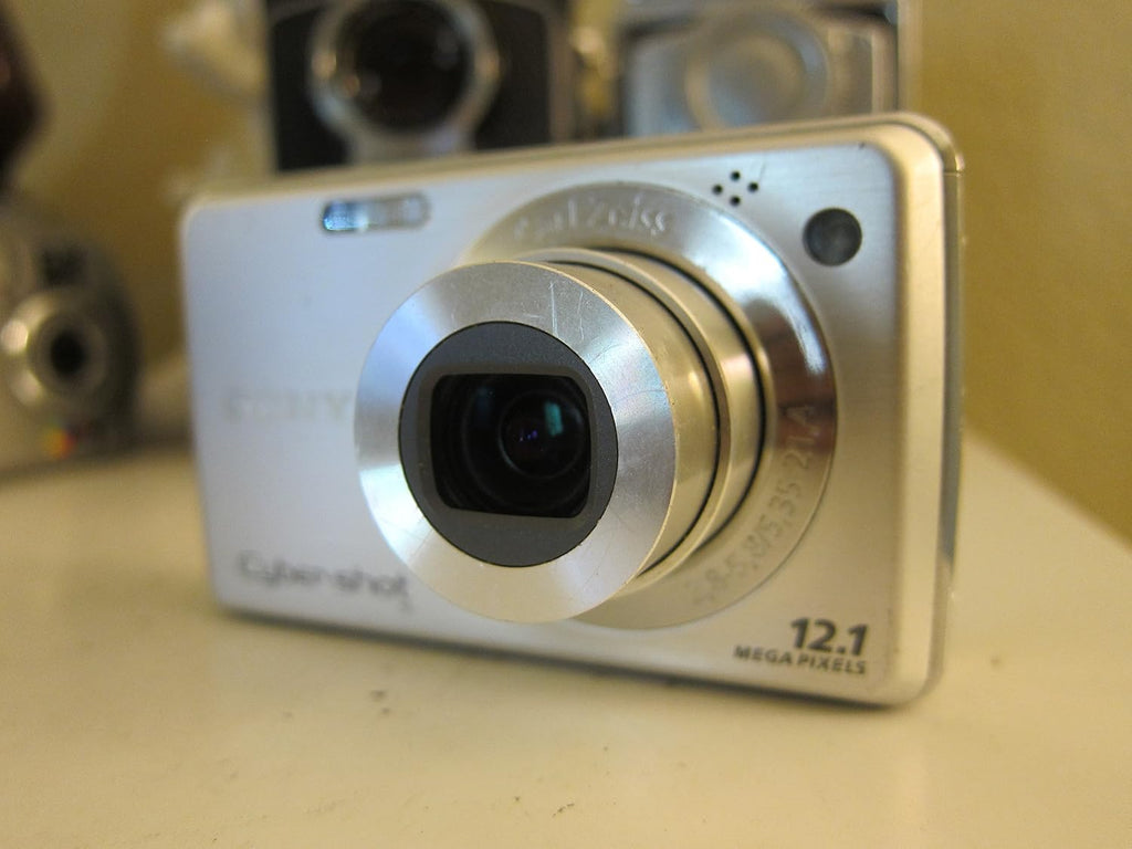 Sony Cyber-shot DSC-W230 12 MP Digital Camera with 4x Optical Zoom and Super Steady Shot Image Stabilization (Silver)