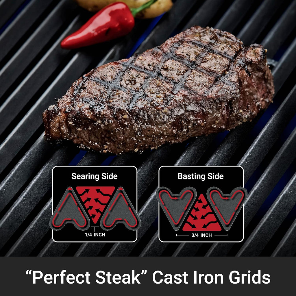 Broil King 952654 Porta-Chef 320 Portable Propane Grill in Stainless Steel and Black