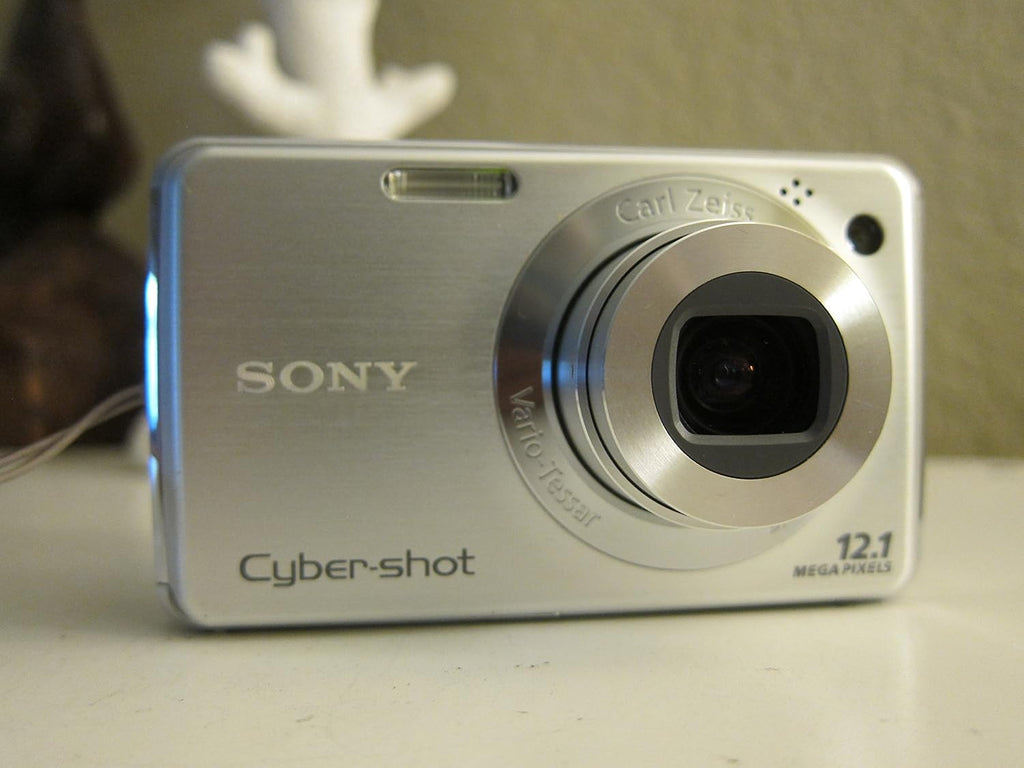 Sony Cybershot DSC-W220 12.1MP Digital Camera with 4x Optical Zoom with Super Steady Shot Image Stabilization (Silver)