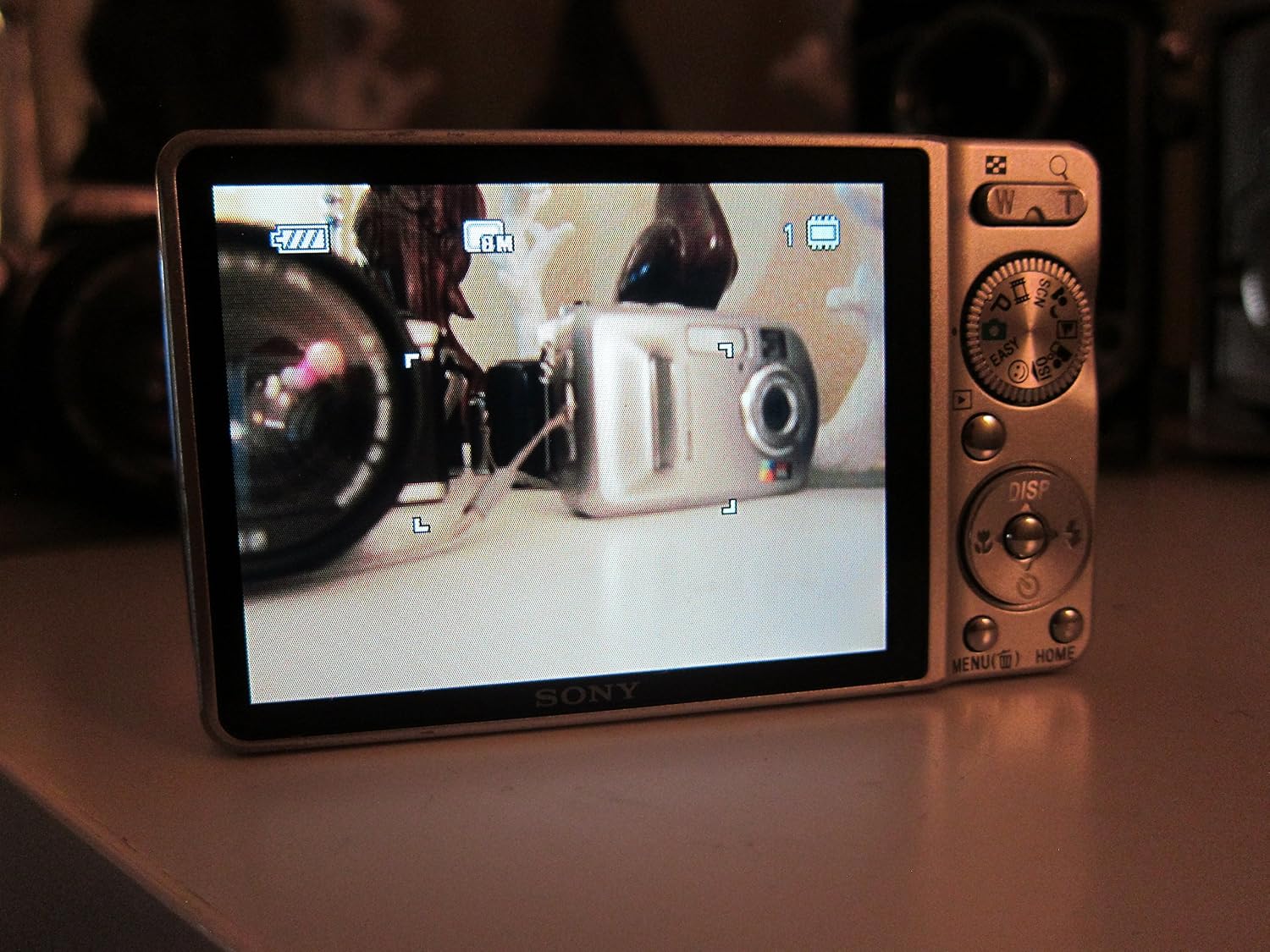 Sony Cyber-shot DSC-W230 12 MP Digital Camera with 4x Optical Zoom and Super Steady Shot Image Stabilization (Silver)