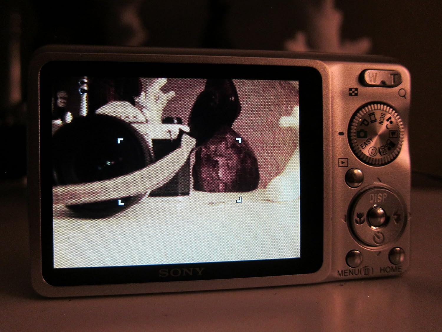 Sony Cybershot DSC-W220 12.1MP Digital Camera with 4x Optical Zoom with Super Steady Shot Image Stabilization (Silver)