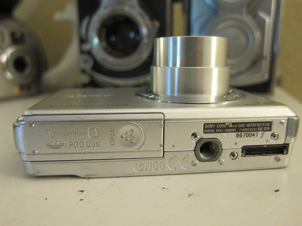 Sony Cyber-shot DSC-W230 12 MP Digital Camera with 4x Optical Zoom and Super Steady Shot Image Stabilization (Silver)
